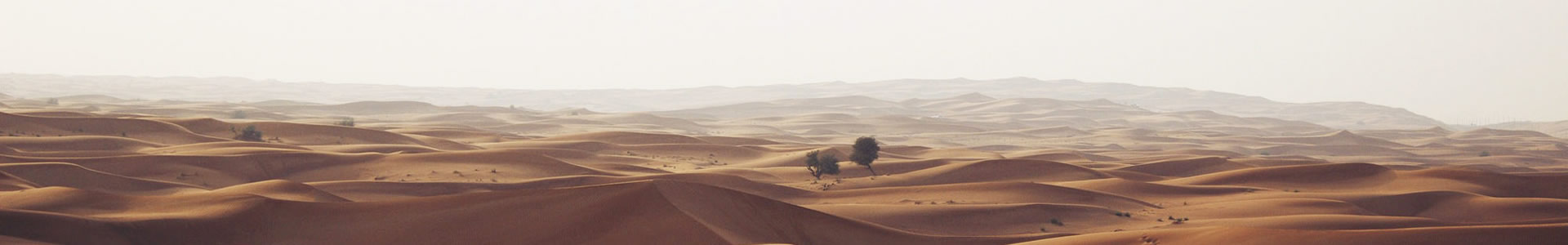 մݽ޹˾